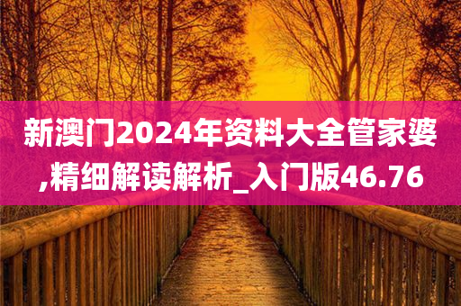 新澳门2024年资料大全管家婆,精细解读解析_入门版46.76