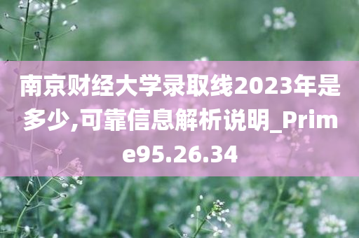 南京财经大学录取线2023年是多少,可靠信息解析说明_Prime95.26.34