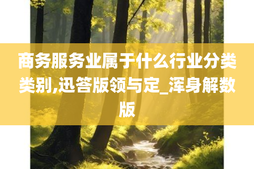 商务服务业属于什么行业分类类别,迅答版领与定_浑身解数版