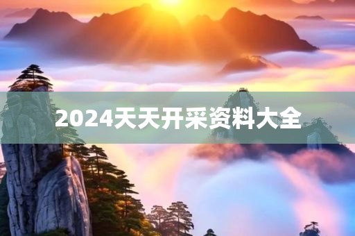 2024天天开采资料大全