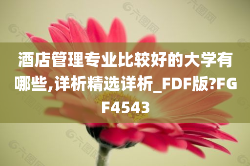 酒店管理专业比较好的大学有哪些,详析精选详析_FDF版?FGF4543