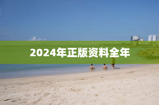 2024年正版资料全年