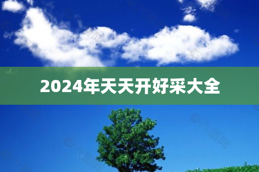 2024年天天开好采大全