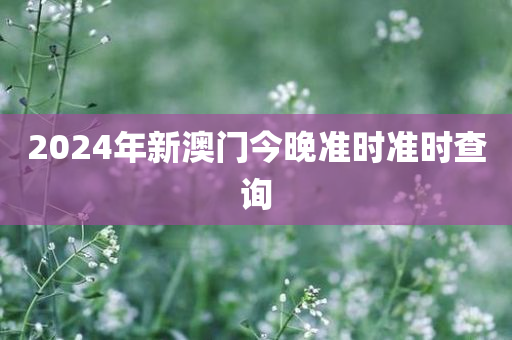 2024年新澳门今晚准时准时查询