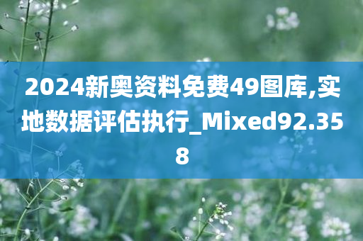 2024新奥资料免费49图库,实地数据评估执行_Mixed92.358