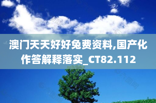 澳门天天好好兔费资料,国产化作答解释落实_CT82.112