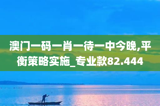 澳门一码一肖一待一中今晚,平衡策略实施_专业款82.444