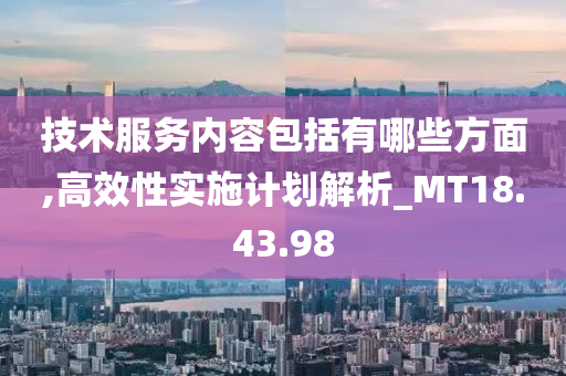 技术服务内容包括有哪些方面,高效性实施计划解析_MT18.43.98