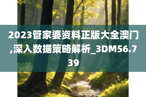 2023管家婆资料正版大全澳门,深入数据策略解析_3DM56.739