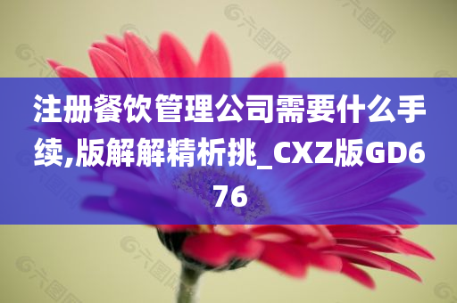 注册餐饮管理公司需要什么手续,版解解精析挑_CXZ版GD676