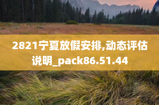 2821宁夏放假安排,动态评估说明_pack86.51.44