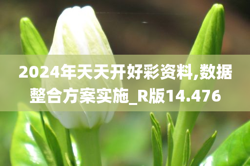 2024年天天开好彩资料,数据整合方案实施_R版14.476