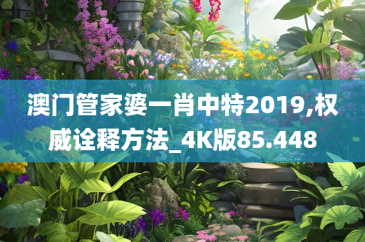 澳门管家婆一肖中特2019,权威诠释方法_4K版85.448