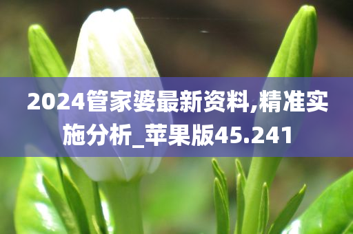 2024管家婆最新资料,精准实施分析_苹果版45.241