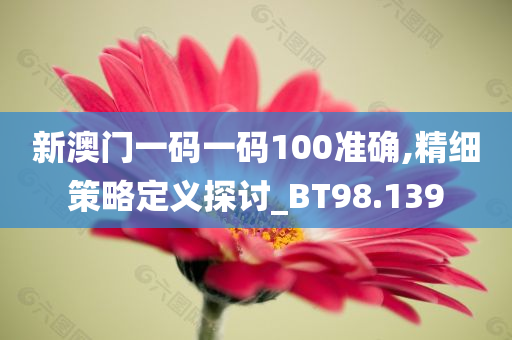 新澳门一码一码100准确,精细策略定义探讨_BT98.139