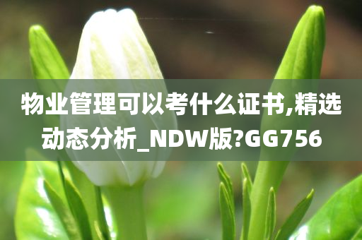 物业管理可以考什么证书,精选动态分析_NDW版?GG756