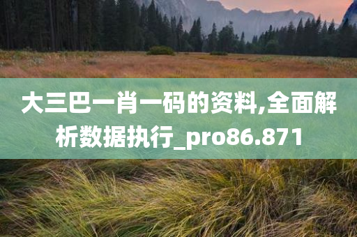 大三巴一肖一码的资料,全面解析数据执行_pro86.871