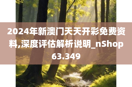 2024年新澳门天天开彩免费资料,深度评估解析说明_nShop63.349