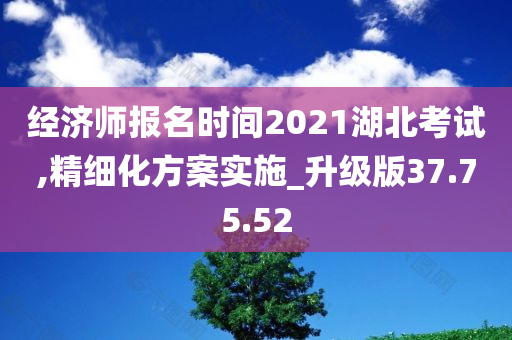 经济师报名时间2021湖北考试,精细化方案实施_升级版37.75.52