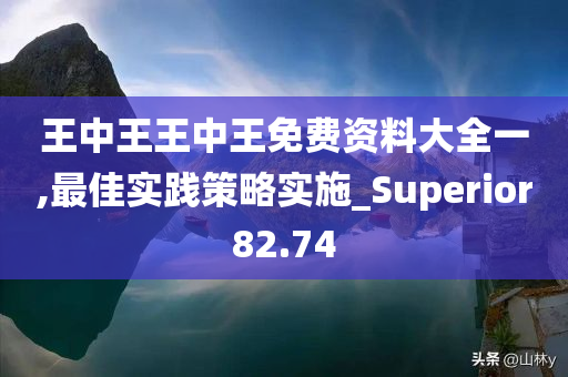 王中王王中王免费资料大全一,最佳实践策略实施_Superior82.74