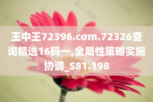 王中王72396.cσm.72326查询精选16码一,全局性策略实施协调_S81.198