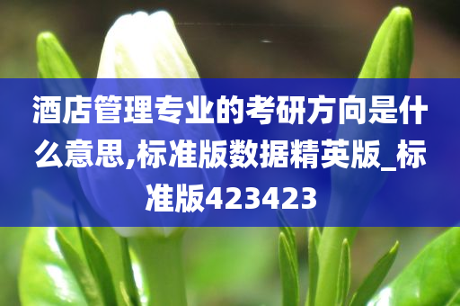 酒店管理专业的考研方向是什么意思,标准版数据精英版_标准版423423