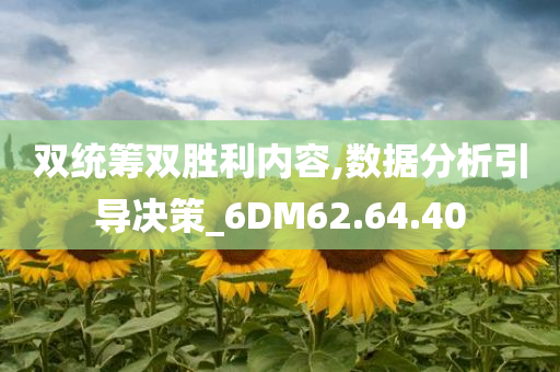 双统筹双胜利内容,数据分析引导决策_6DM62.64.40