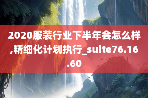 2020服装行业下半年会怎么样,精细化计划执行_suite76.16.60