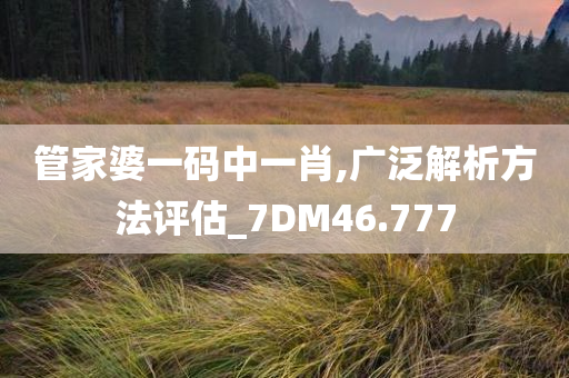 管家婆一码中一肖,广泛解析方法评估_7DM46.777