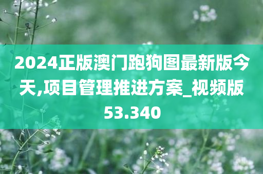 2024正版澳门跑狗图最新版今天,项目管理推进方案_视频版53.340