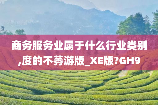 商务服务业属于什么行业类别,度的不莠游版_XE版?GH9