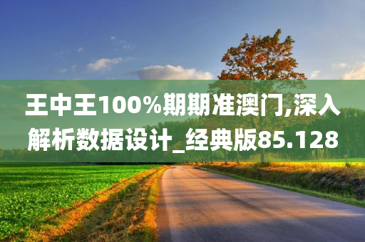 王中王100%期期准澳门,深入解析数据设计_经典版85.128