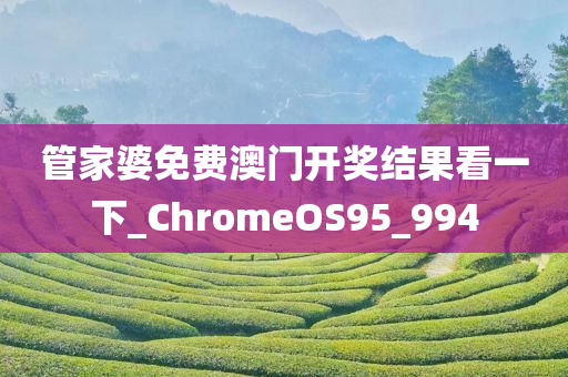 管家婆免费澳门开奖结果看一下_ChromeOS95_994