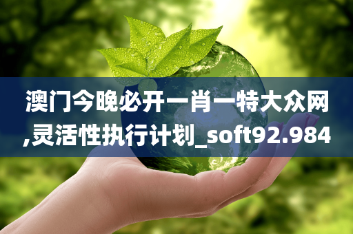 澳门今晚必开一肖一特大众网,灵活性执行计划_soft92.984