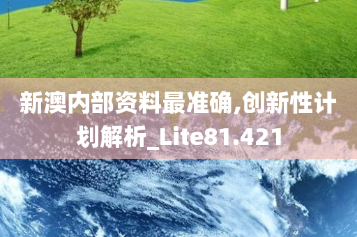 新澳内部资料最准确,创新性计划解析_Lite81.421