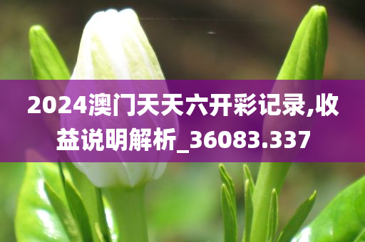 2024澳门天天六开彩记录,收益说明解析_36083.337