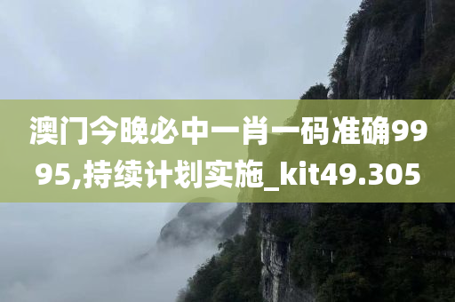 澳门今晚必中一肖一码准确9995,持续计划实施_kit49.305