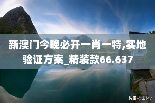 新澳门今晚必开一肖一特,实地验证方案_精装款66.637