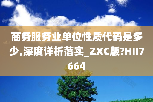 商务服务业单位性质代码是多少,深度详析落实_ZXC版?HII7664