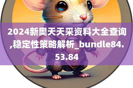 2024新奥天天采资料大全查询,稳定性策略解析_bundle84.53.84