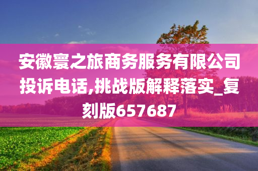 安徽寰之旅商务服务有限公司投诉电话,挑战版解释落实_复刻版657687