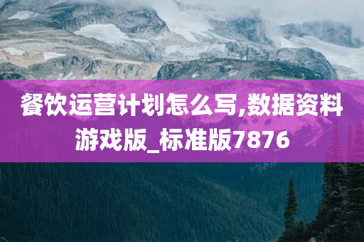 餐饮运营计划怎么写,数据资料游戏版_标准版7876