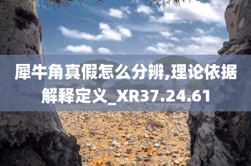 犀牛角真假怎么分辨,理论依据解释定义_XR37.24.61