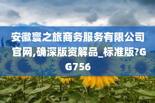 安徽寰之旅商务服务有限公司 官网,确深版资解品_标准版?GG756