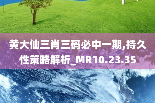 黄大仙三肖三码必中一期,持久性策略解析_MR10.23.35