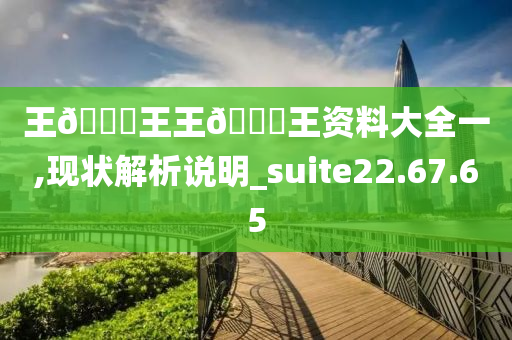 王🀄王王🀄王资料大全一,现状解析说明_suite22.67.65