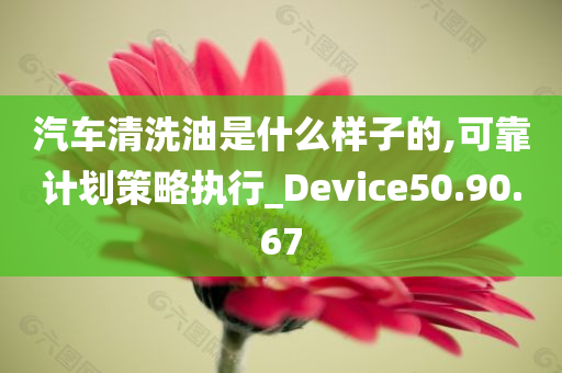 汽车清洗油是什么样子的,可靠计划策略执行_Device50.90.67