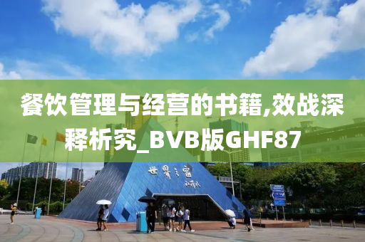 餐饮管理与经营的书籍,效战深释析究_BVB版GHF87