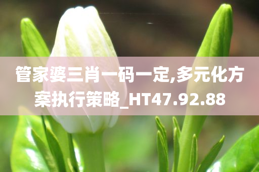 管家婆三肖一码一定,多元化方案执行策略_HT47.92.88