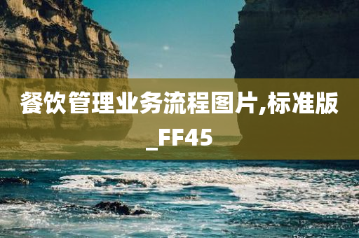 餐饮管理业务流程图片,标准版_FF45